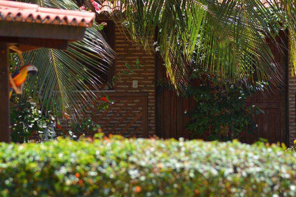 Pousada Arco Mundial Taíba Eksteriør billede